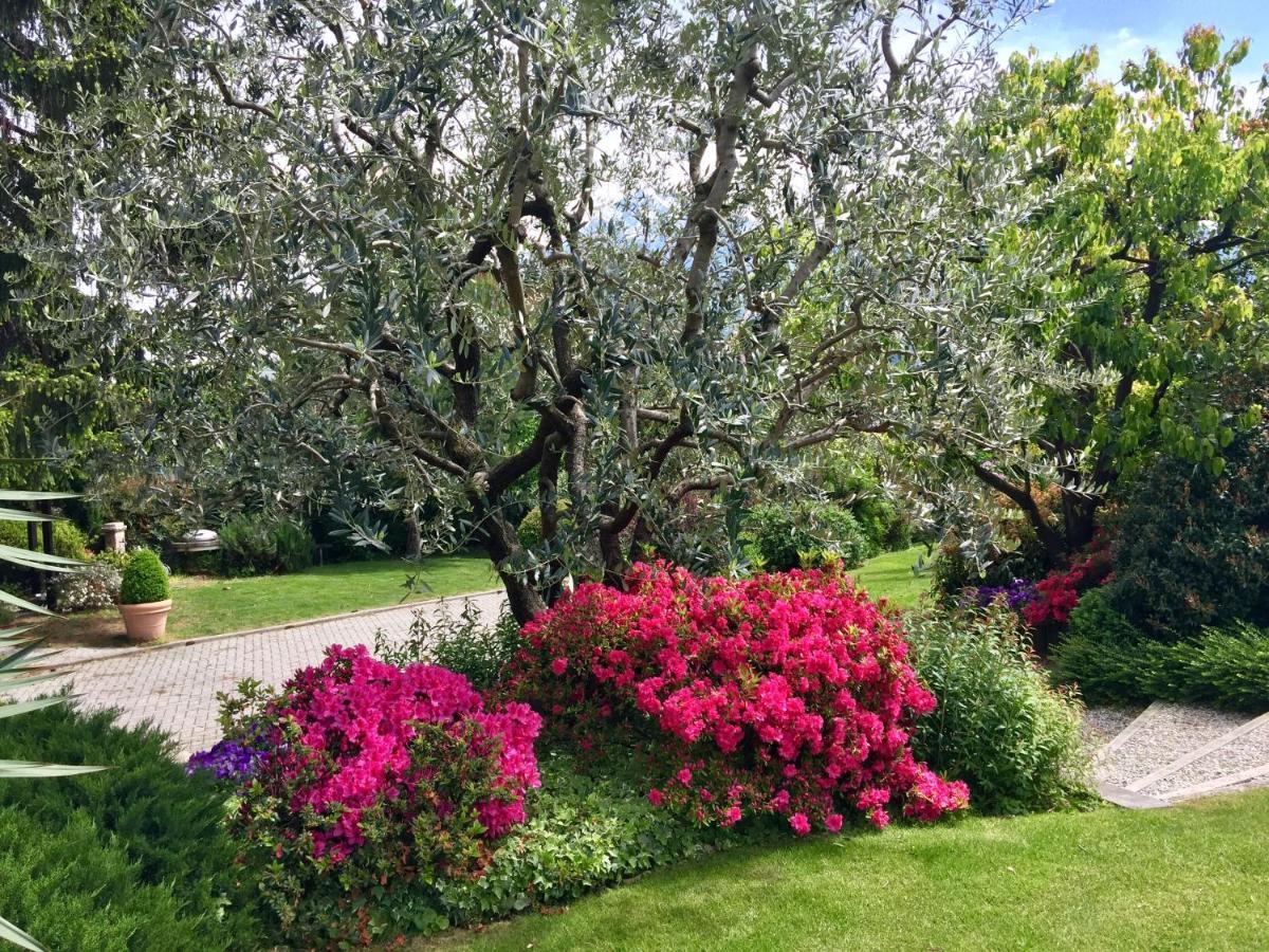 Abies Lago Di Como Dongo Extérieur photo